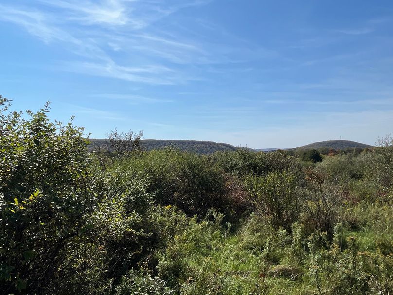 Chemung_19.69_Welles Photo 5