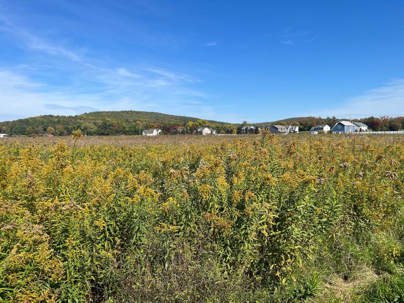 Chemung_19.69_Welles Photo 28