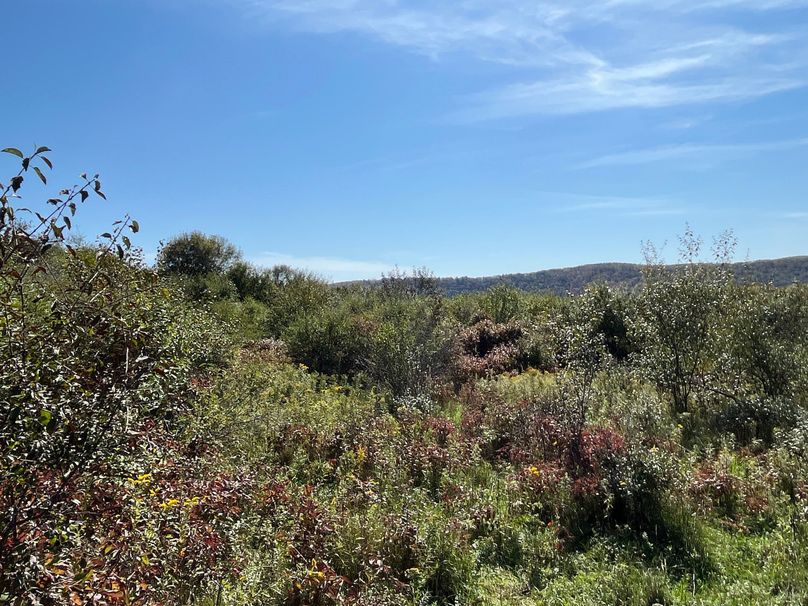 Chemung_19.69_Welles Photo 20