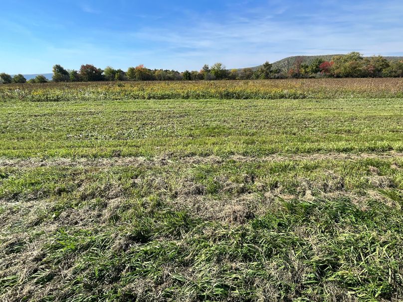 Chemung_19.69_Welles Photo 31