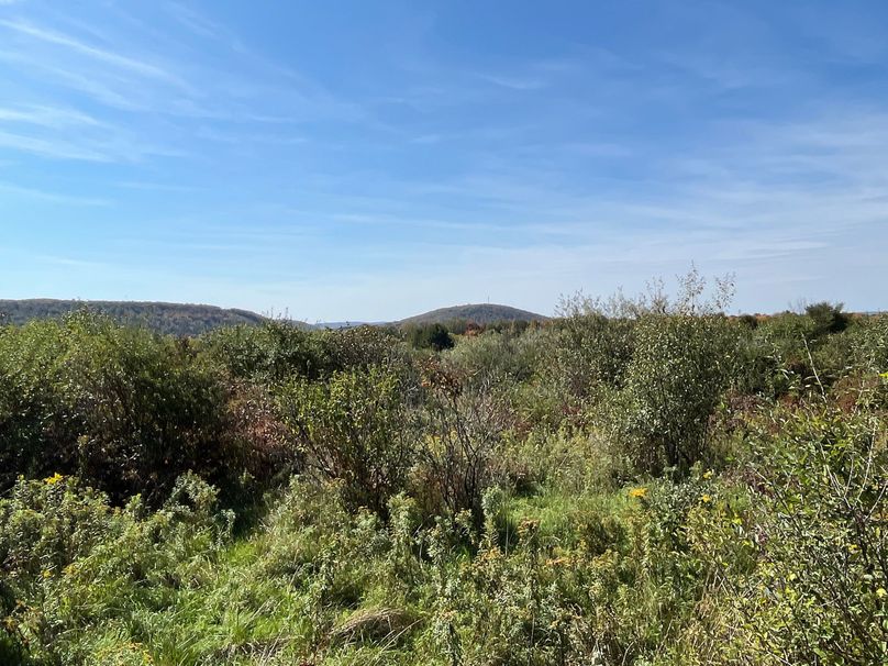 Chemung_19.69_Welles Photo 6