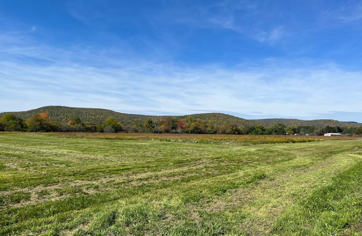 Chemung_19.69_Welles Photo 1