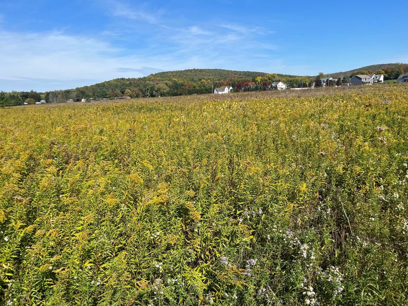 Chemung_19.69_Welles Photo 30