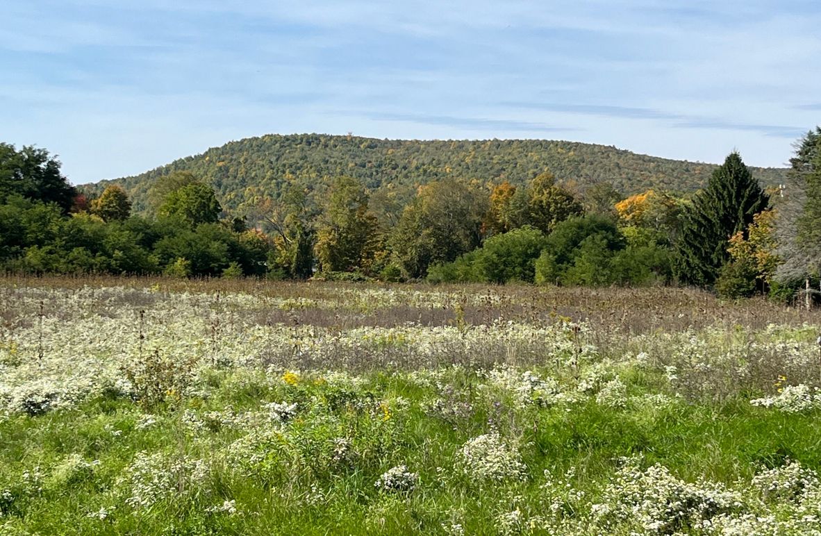 Chemung_19.69_Welles Photo 1a