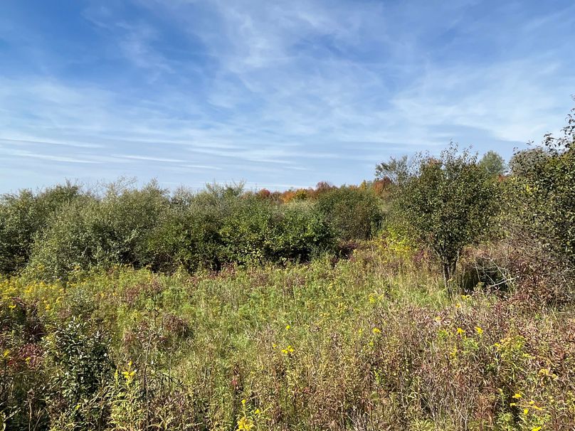 Chemung_19.69_Welles Photo 9