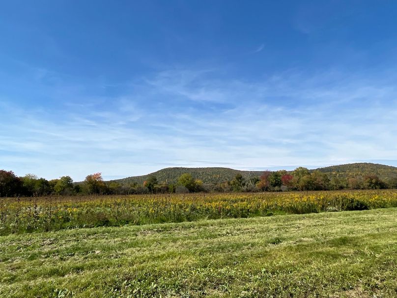 Chemung_19.69_Welles Photo 3