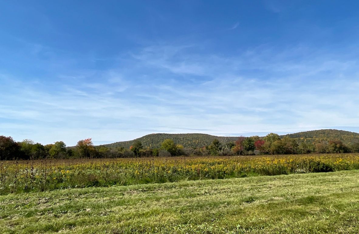 Chemung_19.69_Welles Photo 3