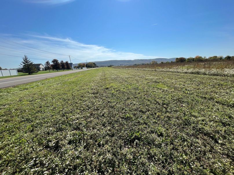 Chemung_19.69_Welles Photo 35