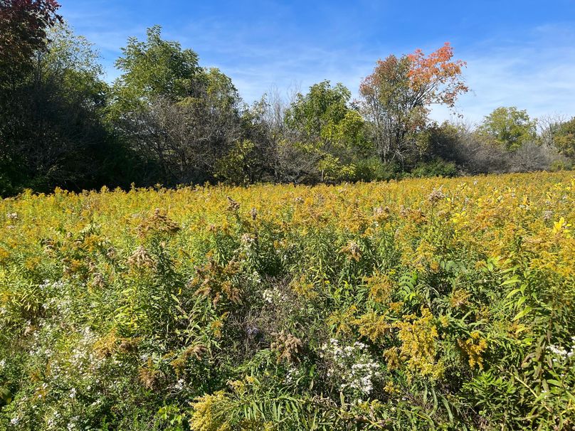 Chemung_19.69_Welles Photo 27