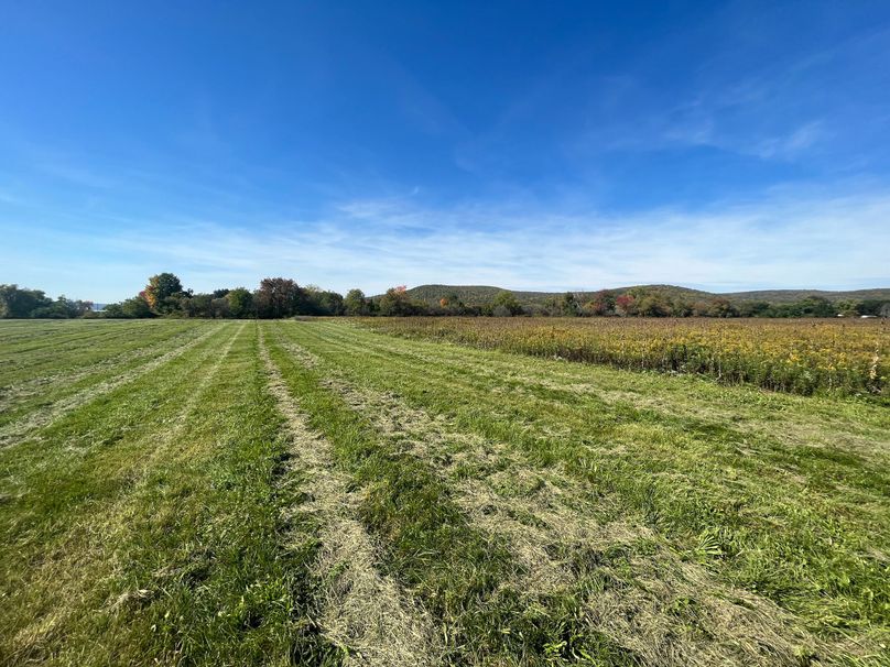 Chemung_19.69_Welles Photo 25