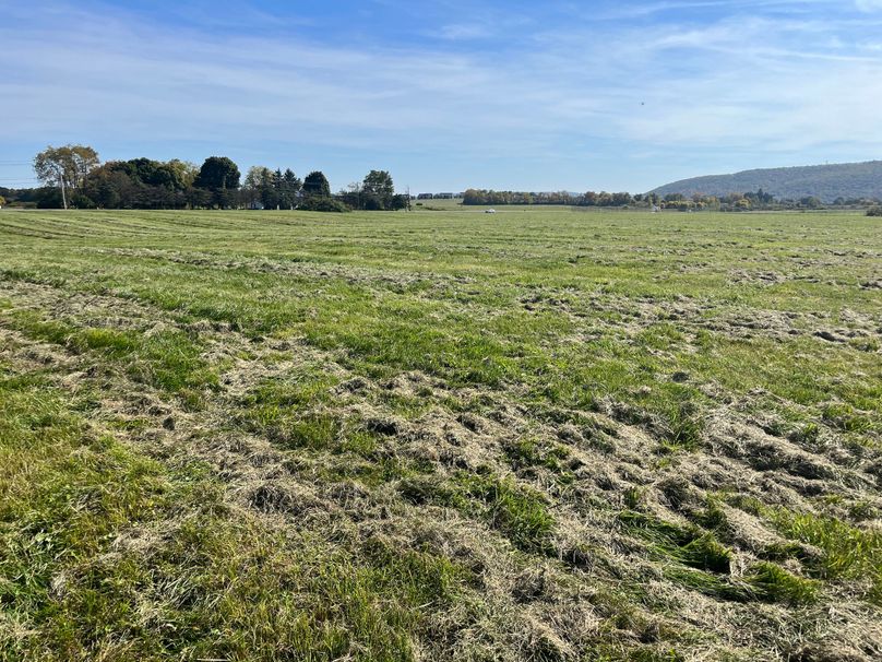 Chemung_19.69_Welles Photo 29