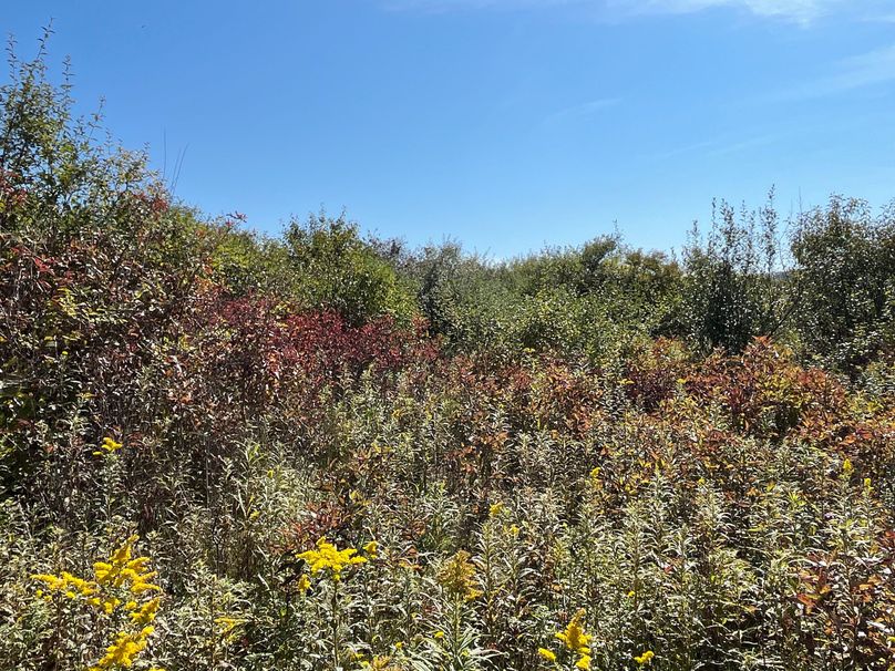 Chemung_19.69_Welles Photo 8