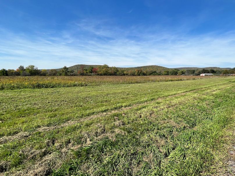 Chemung_19.69_Welles Photo 32