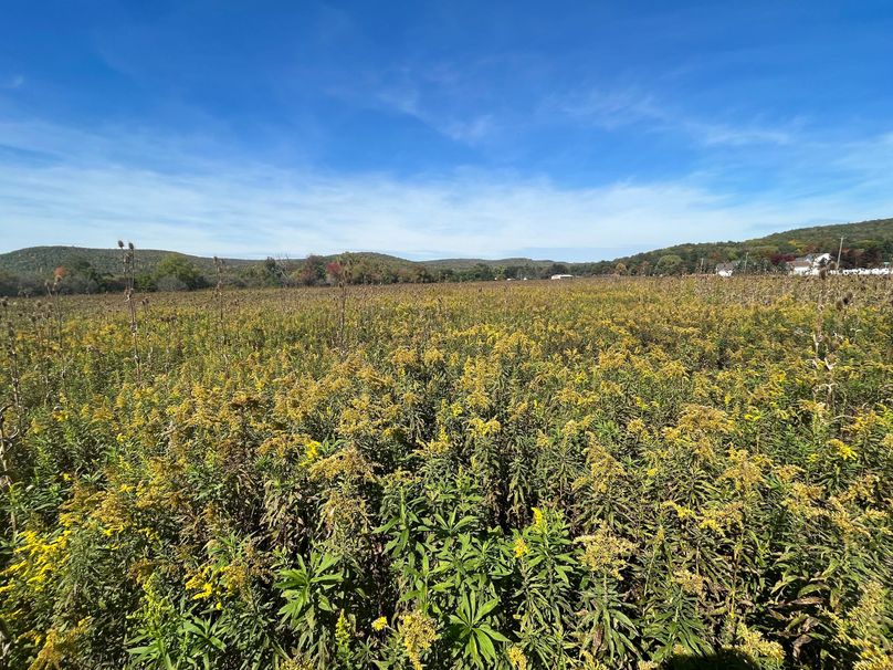 Chemung_19.69_Welles Photo 26