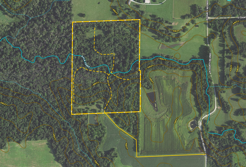 Screen Shot 2022-11-29 at 11.19.20 AM