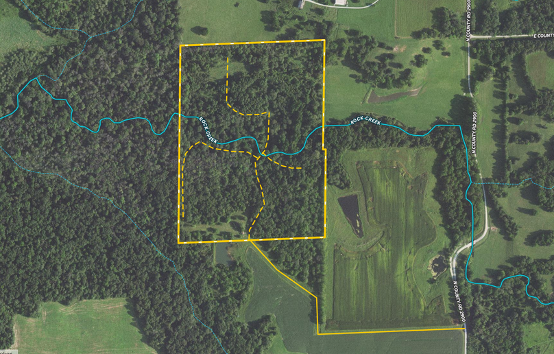 Screen Shot 2022-11-29 at 11.19.11 AM