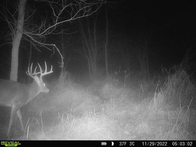 75766fae-3ea3-464e-ae69-6d579ee9ea0e