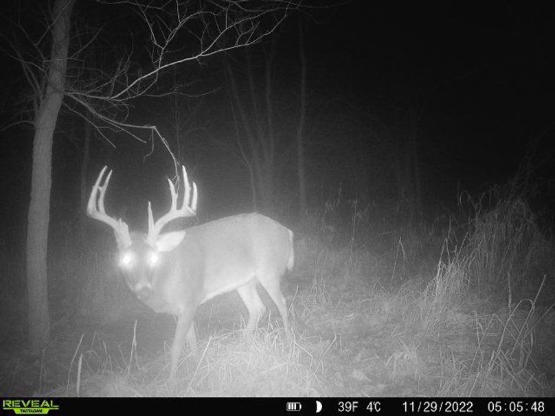 7212033f-2af3-44a7-92ea-98835ea3aada