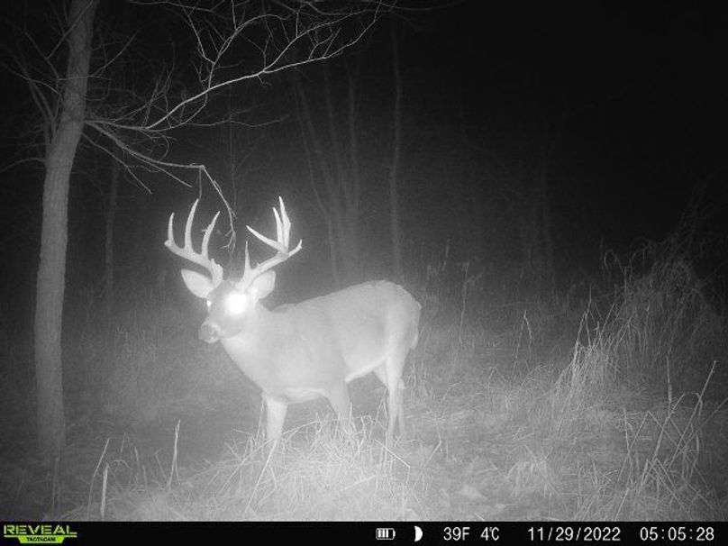 f4cf37cb-da54-4edc-a4d0-2bfcf6b7995e