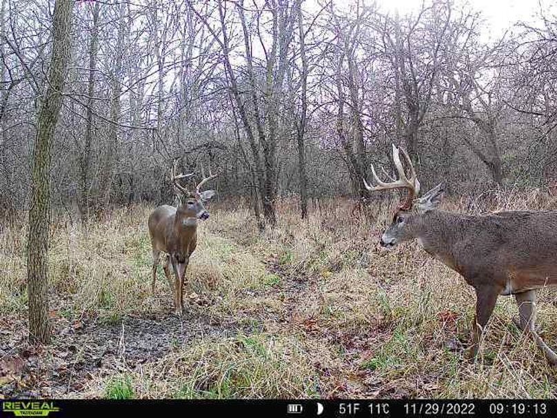 b7fd1449-2e59-4a97-a890-9d97cb630990