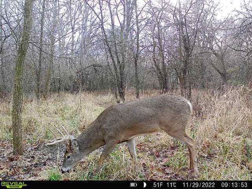 b5f78276-2ccb-4a39-9494-d154df22ef0c