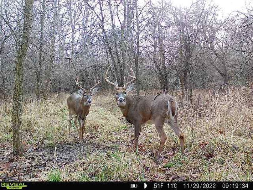 d6f4307c-0c54-4cba-b1dd-dbe7e9d5e90c