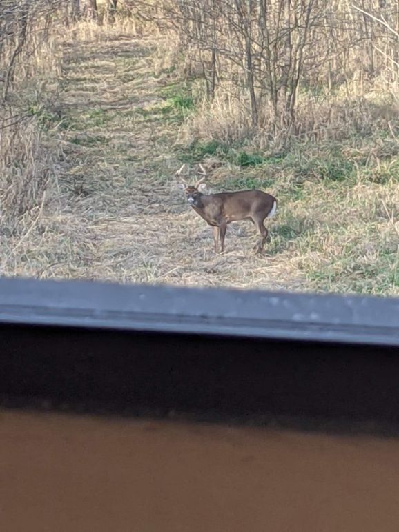 PXL_20201120_144349167 (1)