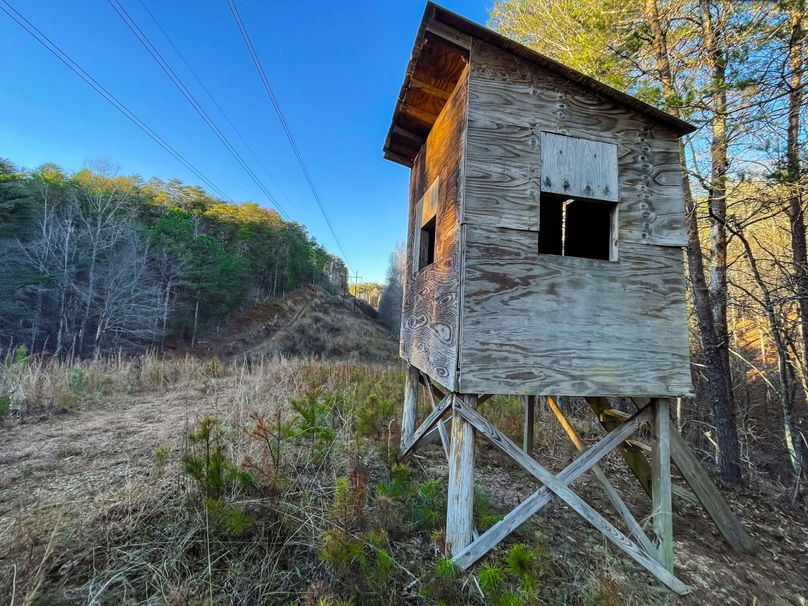 FA782B1F-645A-4FD6-8C31-883B6D516F2A