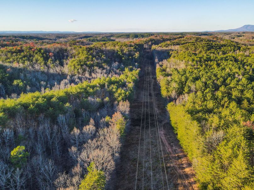 D49C8D01-B179-410F-B932-7E5E73A6322C