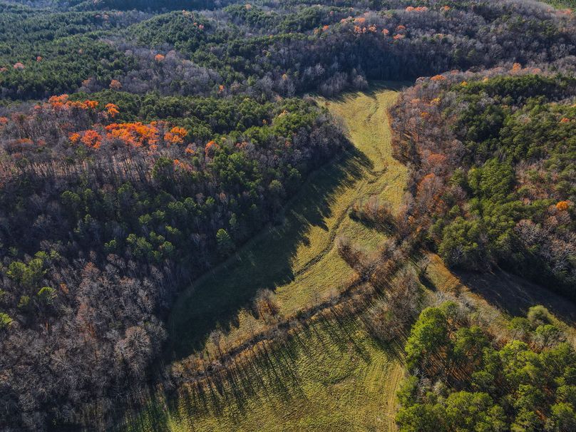 CEED7DEF-786B-444C-B6CB-9FD5A2E118F6