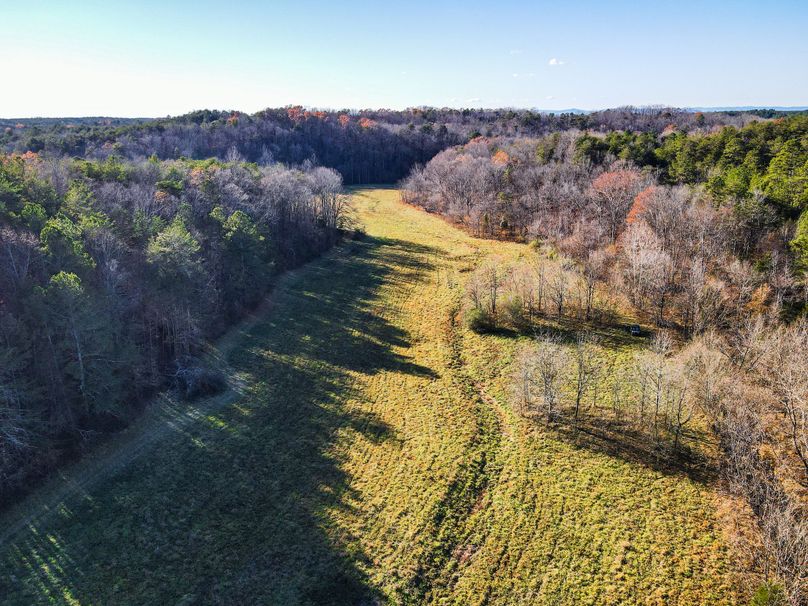 84AFDC03-4D48-4EED-8A99-82C5801E017A