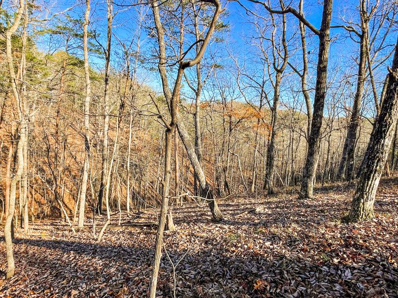 D5DA67D-45BD-459D-BF28-99757256140D