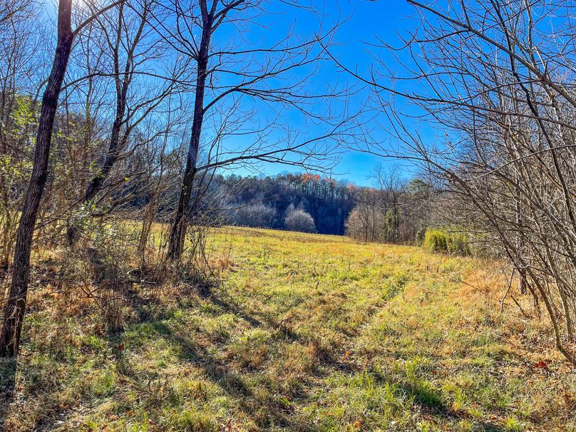 A752C97A-7DEB-452E-A3CA-36CAC3C43FFD