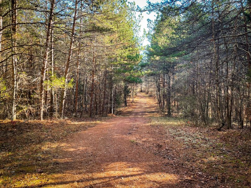 333A3ECD-9875-4EAF-A08D-618523352811