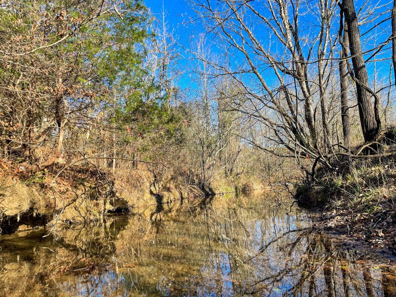 E53AEAE1-200D-4858-9F68-A67BB53AE1EB