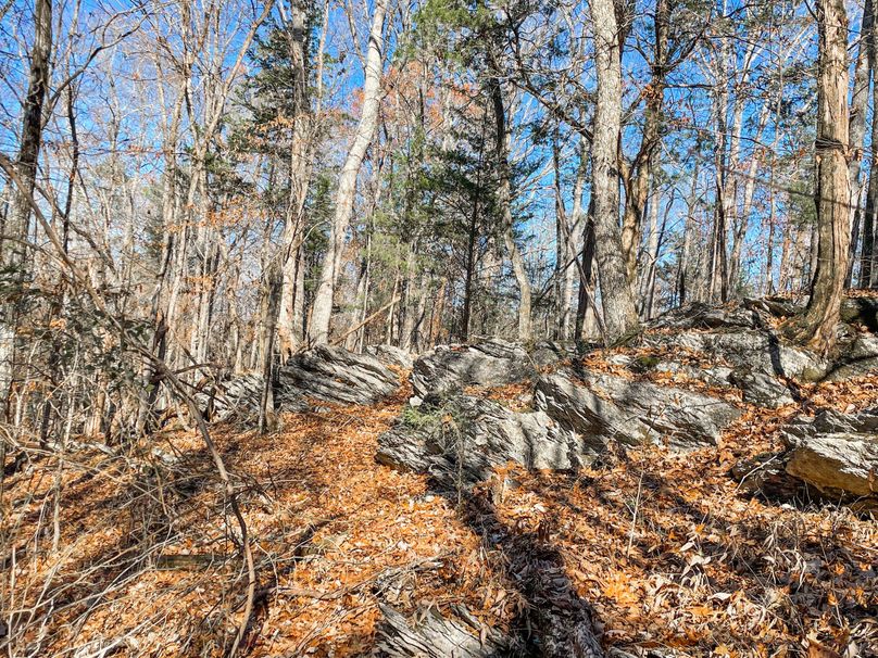 5734EE4F-71F7-409A-A74C-42554A43294A