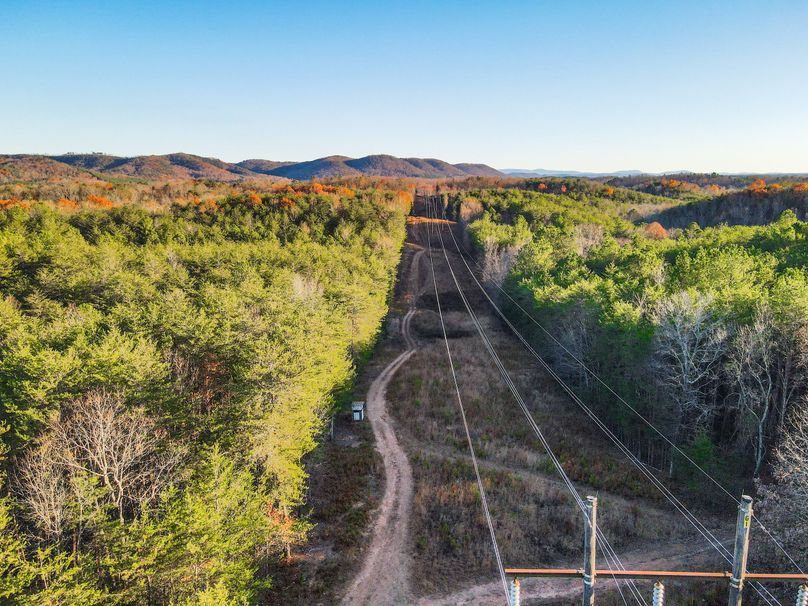 92A9674A-AD25-4C45-AF0C-06163A07ACFA