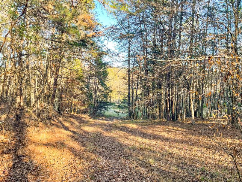 CD18E3A-A4E9-4A0A-A28D-ADC27A9C080C