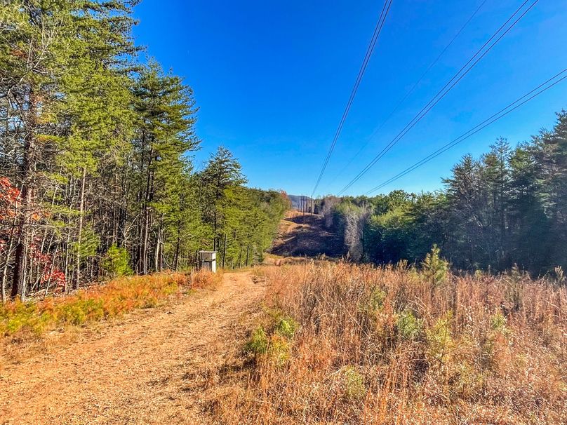 E48C01F7-9F53-4D94-8811-941433C304B9