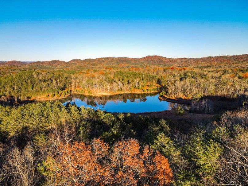 B976A9F9-464A-49DC-A77A-CC55F8CCDC02