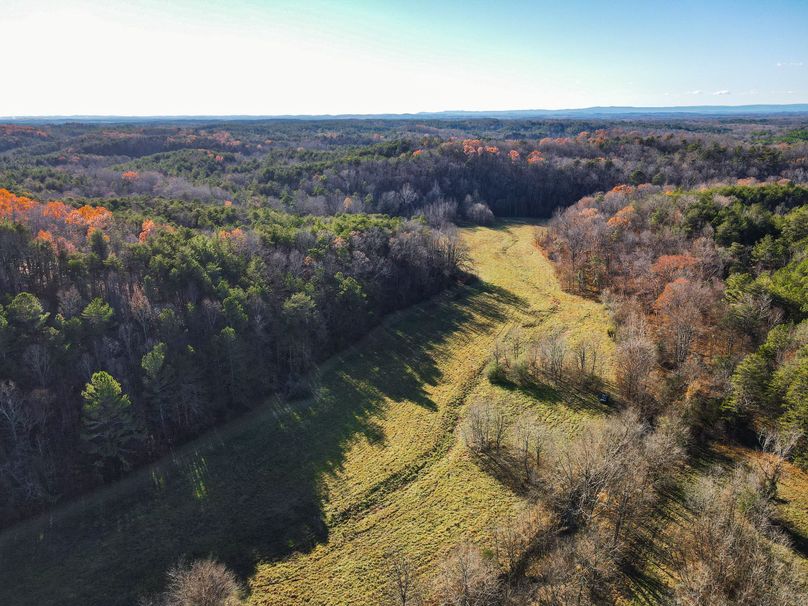 E4C36F3F-047A-469E-A4BD-DBACE6986A4B