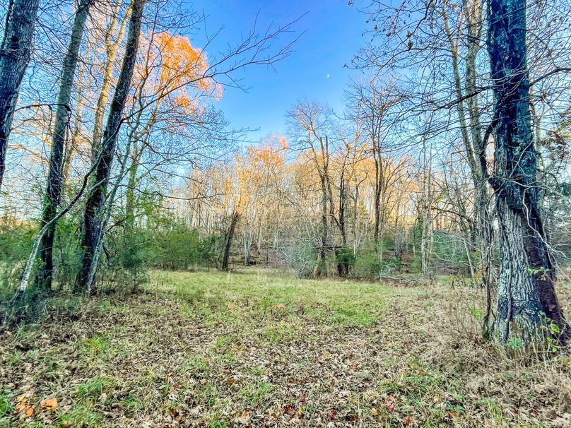 D35C0630-095D-4331-AC61-D25F69DA732B