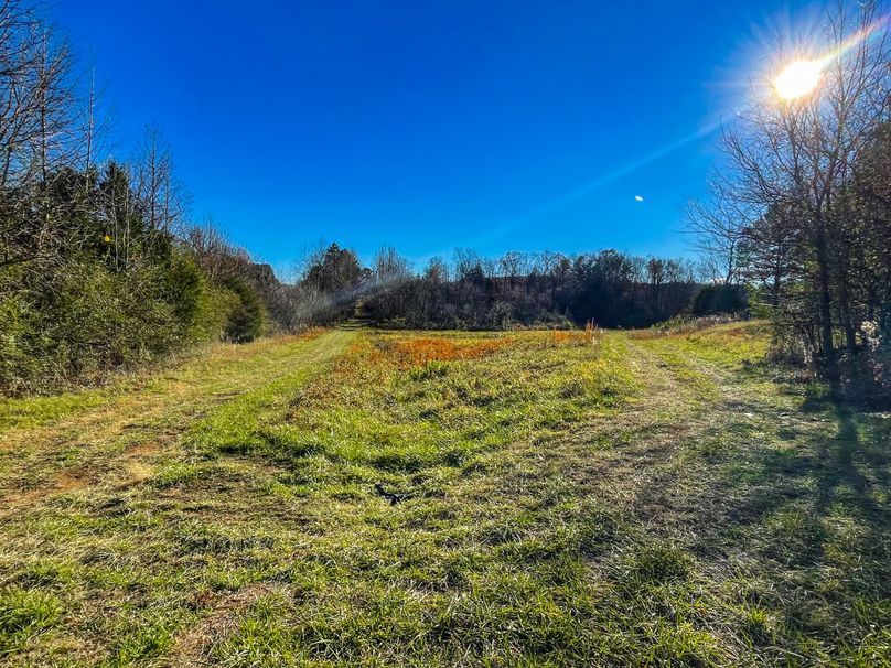 EDBB14-7C65-4419-898E-40C44B53F970