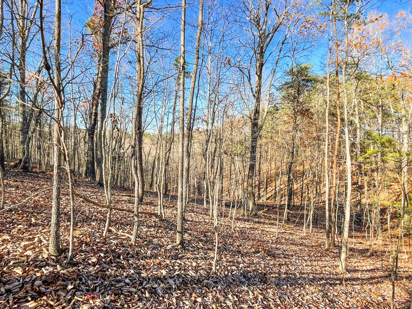 8CC6D2D5-1EF4-45CE-A757-D6F4A2CD1AF0