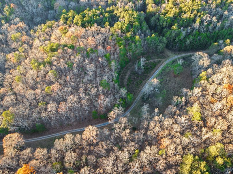 B427AED1-5A29-4CC1-99A7-BC7F723FBC2B