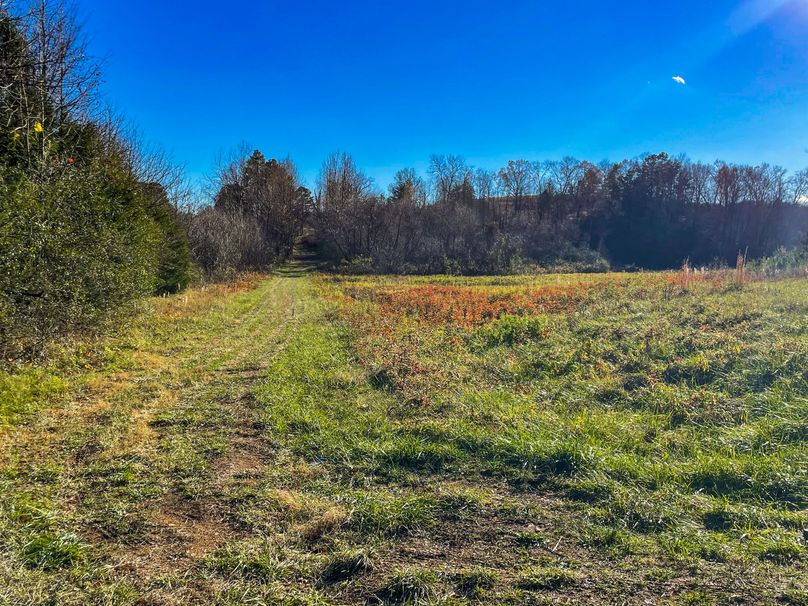 F0E8781-84DD-4FA5-9924-6DB87095D127