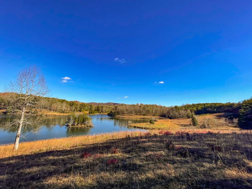 C2B9E28A-138B-44FF-B3F8-9A258A867D8F