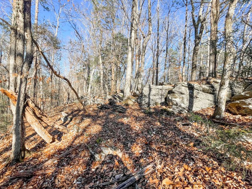 3755181C-CE41-45DF-B1DC-91532F17D276