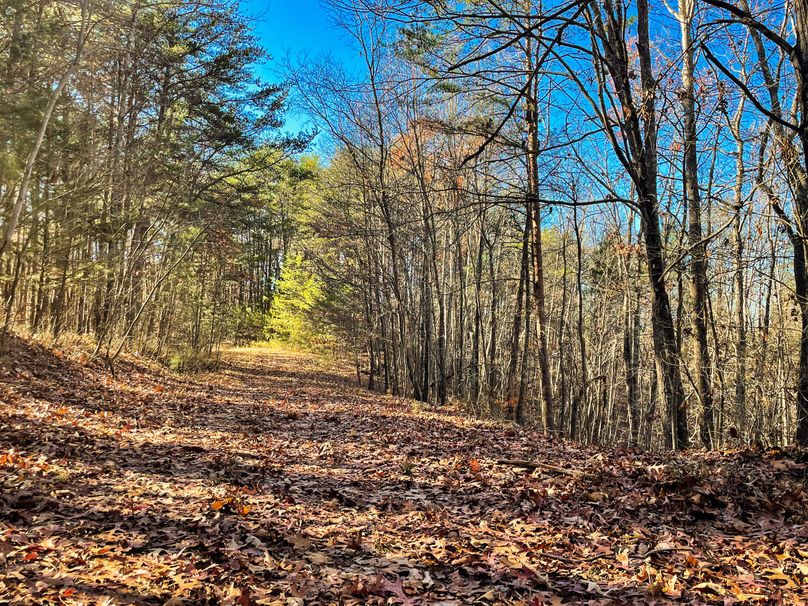 9605D9E6-576B-49CE-8B56-A0E4767CA6F1