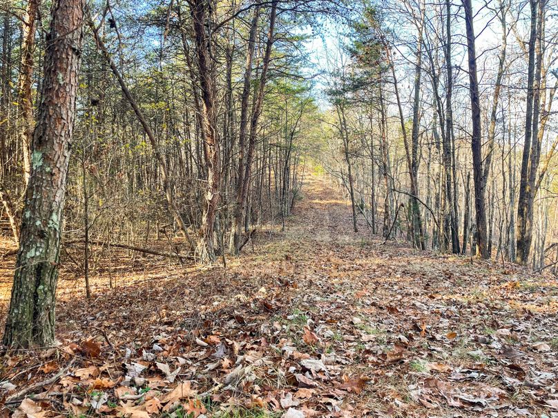 ECC4883-B40D-42AC-B903-3C21DD9D45D2